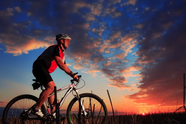 Mountain Bike wielrenner rijden buiten — Stockfoto