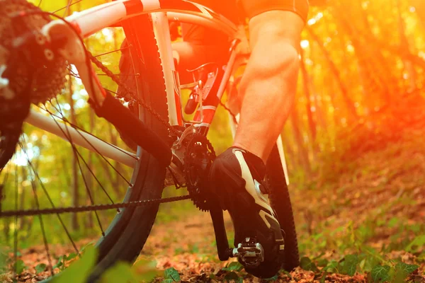Mountain Bike cyklist ridning utomhus — Stockfoto
