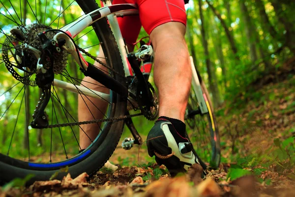 Mountain Bike ciclista equitação ao ar livre — Fotografia de Stock