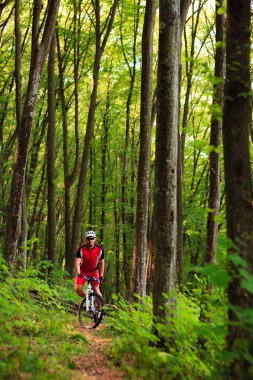 Dağ bisiklet bisikletçi açık sürme