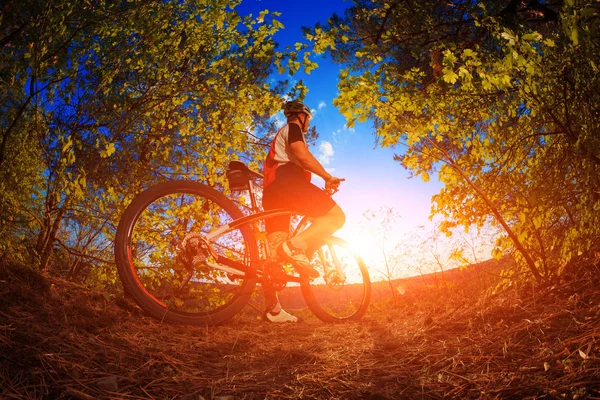 Mountainbike-Fahrer fährt im Freien — Stockfoto