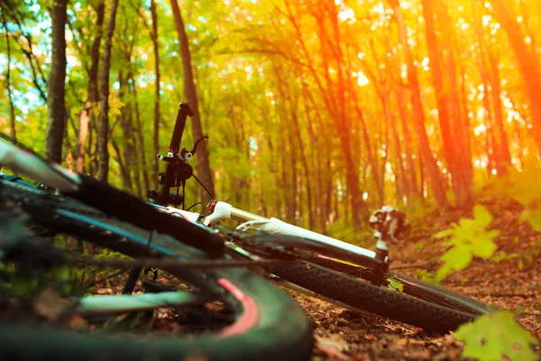 Bela cena de bicicleta no pôr do sol — Fotografia de Stock