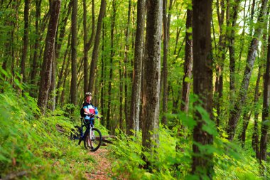 Kadın turist ve ahşap zevk Bisiklet yolundan görüntülemek