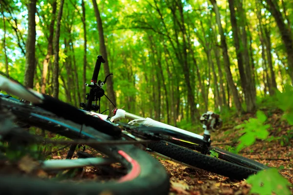 Hermosa escena de bicicleta en el bosque — Foto de Stock
