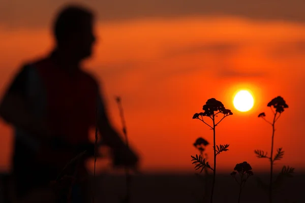 Silhouette of a man on muontain-bike — Stock Photo, Image