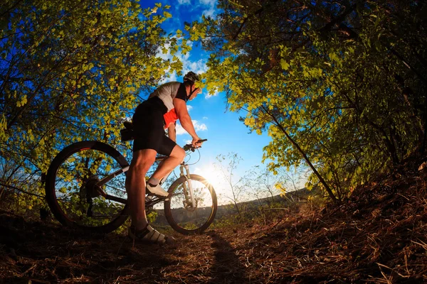 Horské kolo cyklista na koni venkovní — Stock fotografie