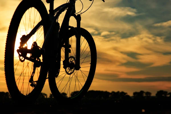 도는 자전거 여행 컨셉 — 스톡 사진