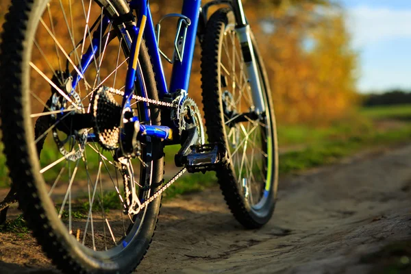 Hermosa escena de cerca de la bicicleta al atardecer , — Foto de Stock