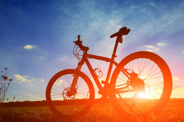 Beautiful close up scene of bicycle at sunset, — Stock Photo, Image