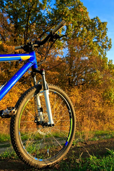 夕暮れ時の自転車のシーンをクローズ アップ美しい, — ストック写真