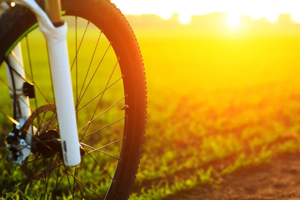 晴れた日に山の自転車 — ストック写真