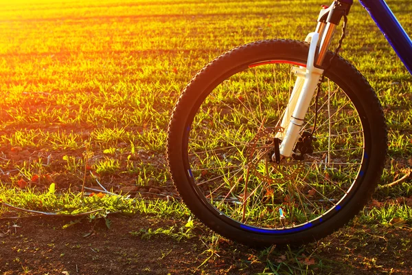 Mountain bicycle at sunny evening — Zdjęcie stockowe