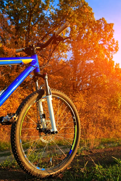 Mountain bicycle at sunny evening — Stockfoto