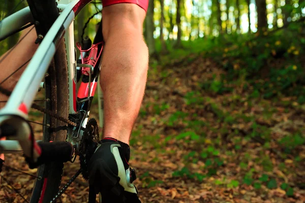 Unga vuxna cyklist ridning mountainbike på landsbygden — Stockfoto