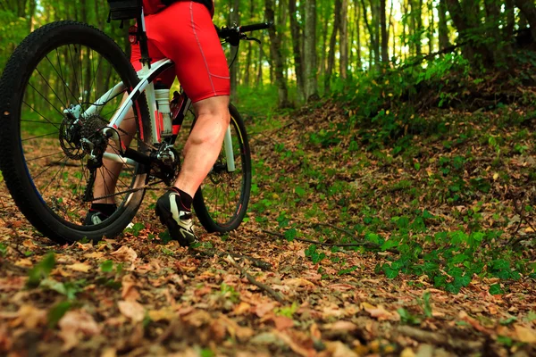 Young adult cyclist riding mountain bike in the countryside — Stock Photo, Image