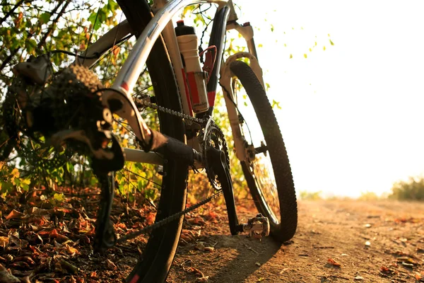 Detal rowerzysta człowiek stóp jazda rowerem górskim na zewnątrz — Zdjęcie stockowe