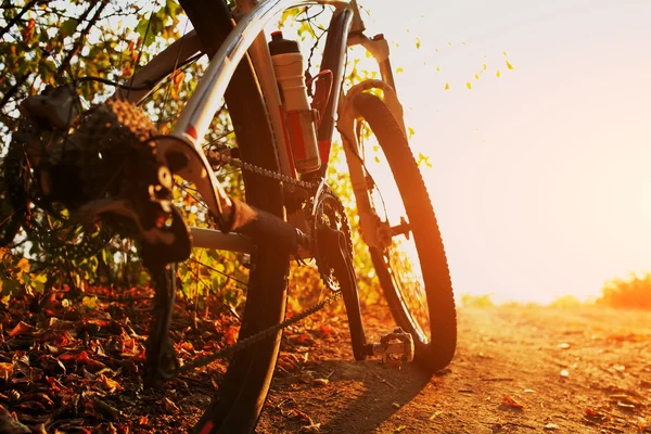 Ayrıntı bisikletçi adam ayak dağ bisikleti üzerinde açık sürme — Stok fotoğraf