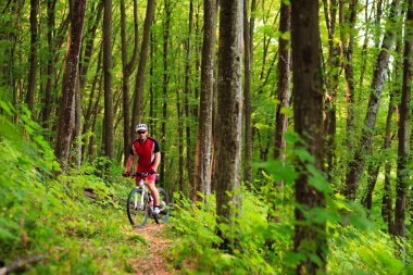 Motorcu açık sürme orman yolu üzerinde