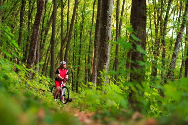 Motorcu açık sürme orman yolu üzerinde