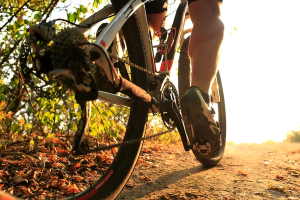 Detalhe do ciclista homem pés andar de bicicleta de montanha ao ar livre — Fotografia de Stock