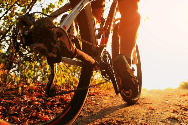 Bicicleta de montaña ciclista montar una sola pista al aire libre — Foto de Stock