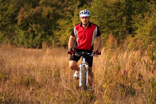 Günbatımı sırasında kırsal bir yolda bisiklet bisikletçi adam — Stok fotoğraf