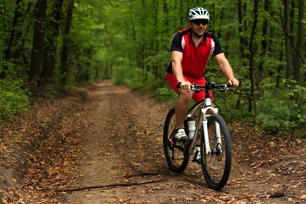 Biciclista com sua bicicleta na floresta de verão — Fotografia de Stock