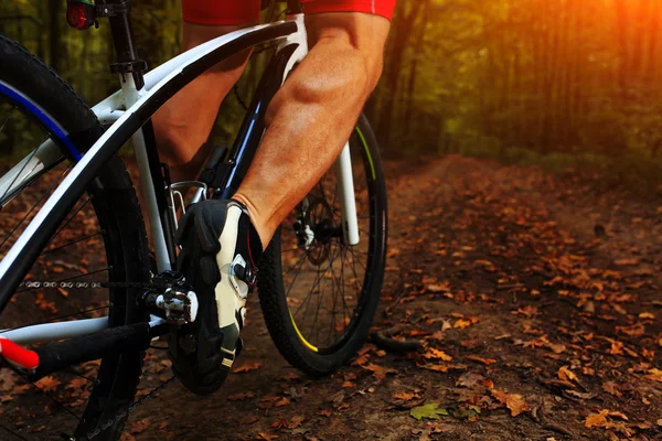 Zbliżenie rowerzysta z jego rower w las lato — Zdjęcie stockowe