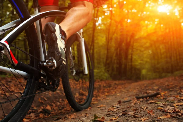 Närbild cyklist med sin cykel i skogen sommaren — Stockfoto