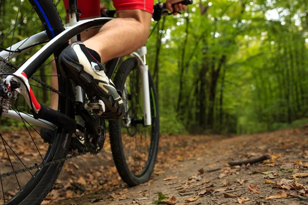 Велосипедист крупным планом со своим велосипедом в Летнем лесу — стоковое фото