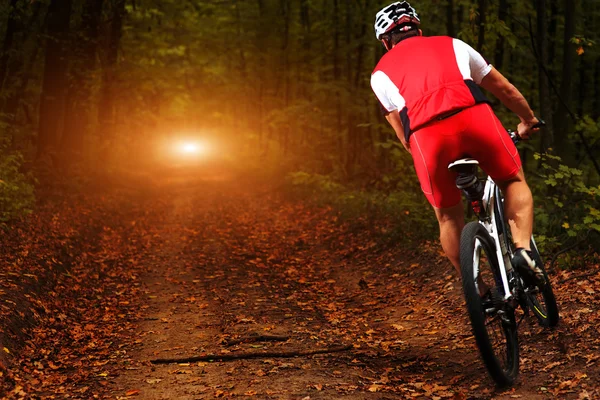 Rider in action at Freestyle Mountain Bike Session — Stock Photo, Image