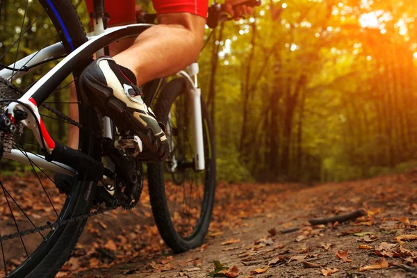 Rider in actie op vrije stijl berg fiets sessie — Stockfoto
