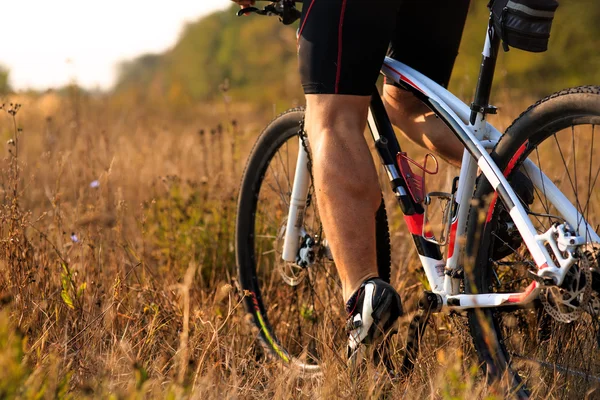 Man cyklist ridning på cykel i skogen sommaren — Stockfoto
