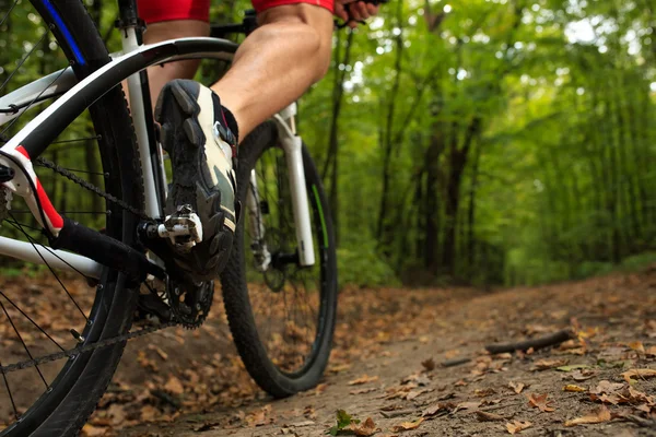 Mann rast mit Fahrrad im Sommerwald — Stockfoto