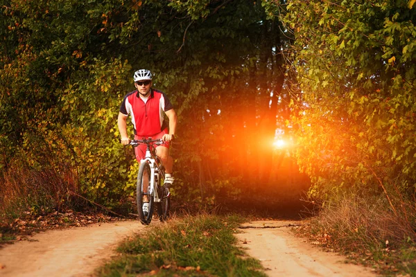 Člověk je cyklistika v podzimním lese — Stock fotografie