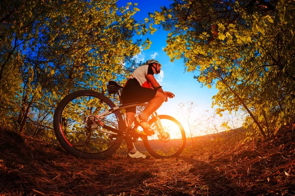 Cyklist ridning mountainbike på leden på kvällen. — Stockfoto