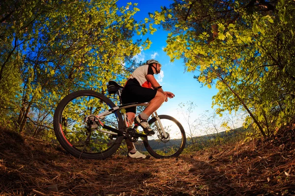 Man wielrenner met fiets op zonsondergang — Stockfoto