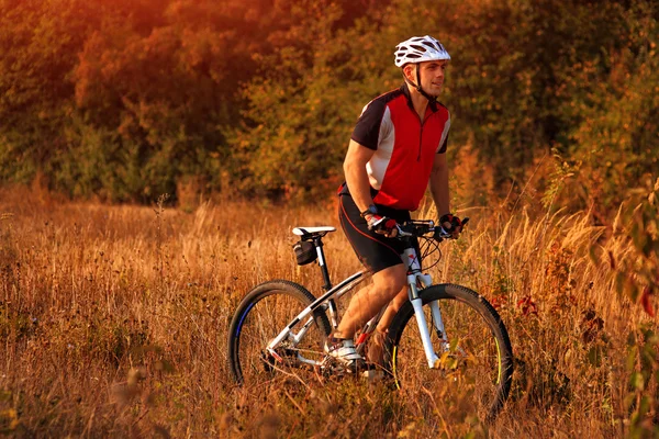 Ryttare på Mountain cykel det skogen — Stockfoto