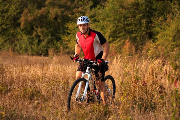 Cavaleiro na Montanha Bicicleta-lo a floresta — Fotografia de Stock