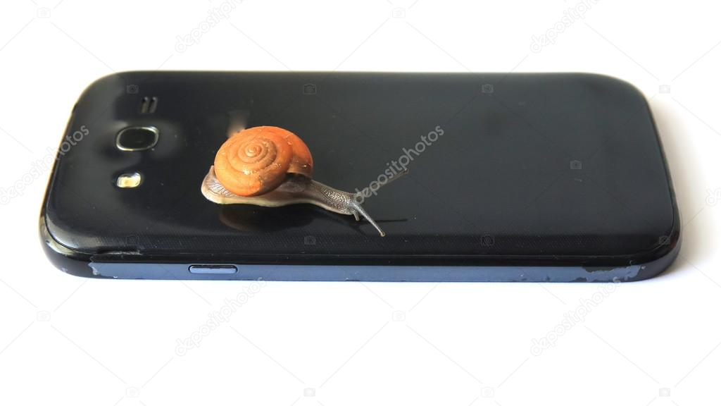 Garden snail on smartphone white background.
