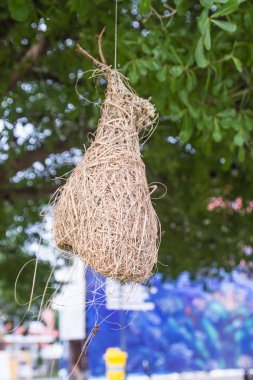 Skylark yuva dallar Şehir alanındaki.