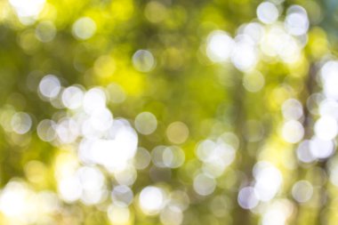 Yaprak, bokeh, arka plan veya doku odak bulanıklık.