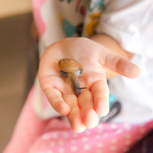 Criança segura um caracol — Fotografia de Stock