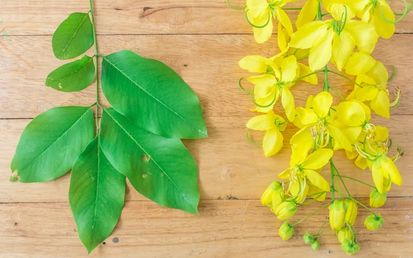 Golden Flower or Cassia Fistula on wooden background — Stock Photo, Image