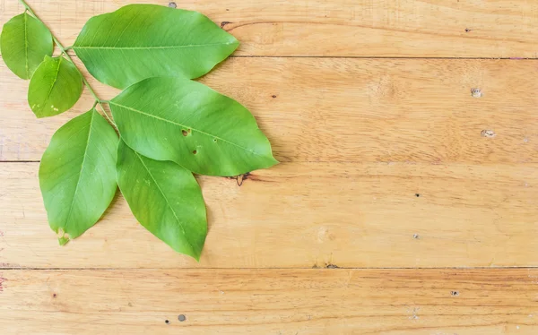 Leaf of Golden Flower on wooden background. — Stock Photo, Image