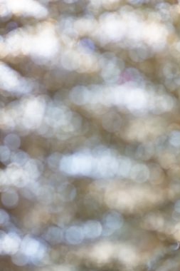 Soyut altın Noel ve arka plan