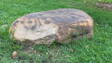 Çim izole büyük kaya.