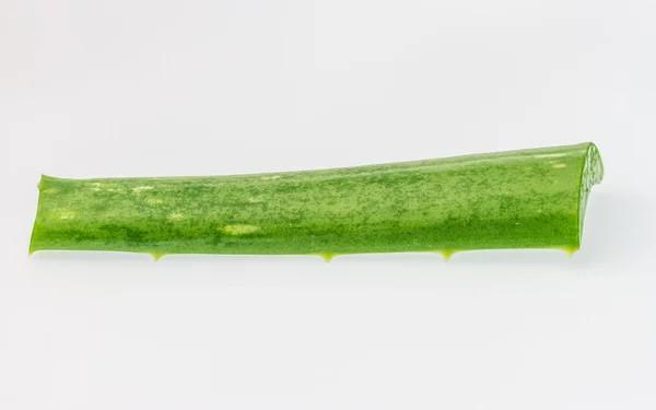 Aloe vera leaf on white background — Stock Photo, Image