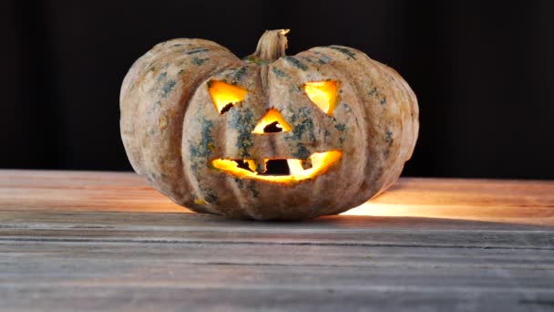 Pumpkin on wooden background — Stock Video