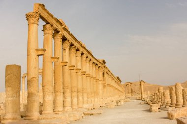Palmyre Suriye 2009 Roma döneminden kalma antik bir şehrin kalıntıları